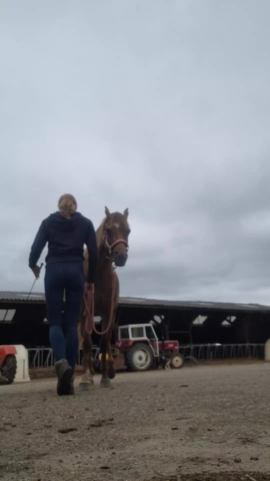 @horses.by.Britt:)