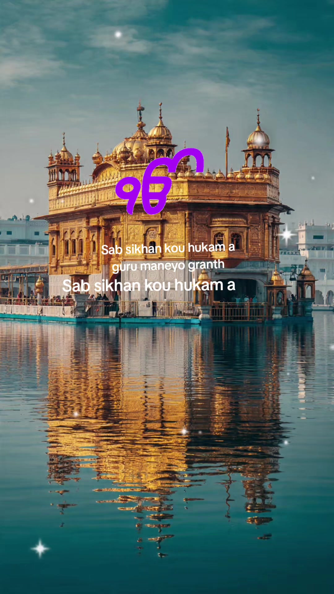 @dhaliwal6