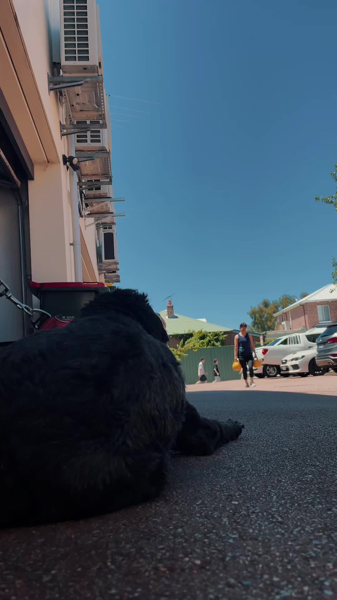 @Okarina | Perth Pawrent Guide