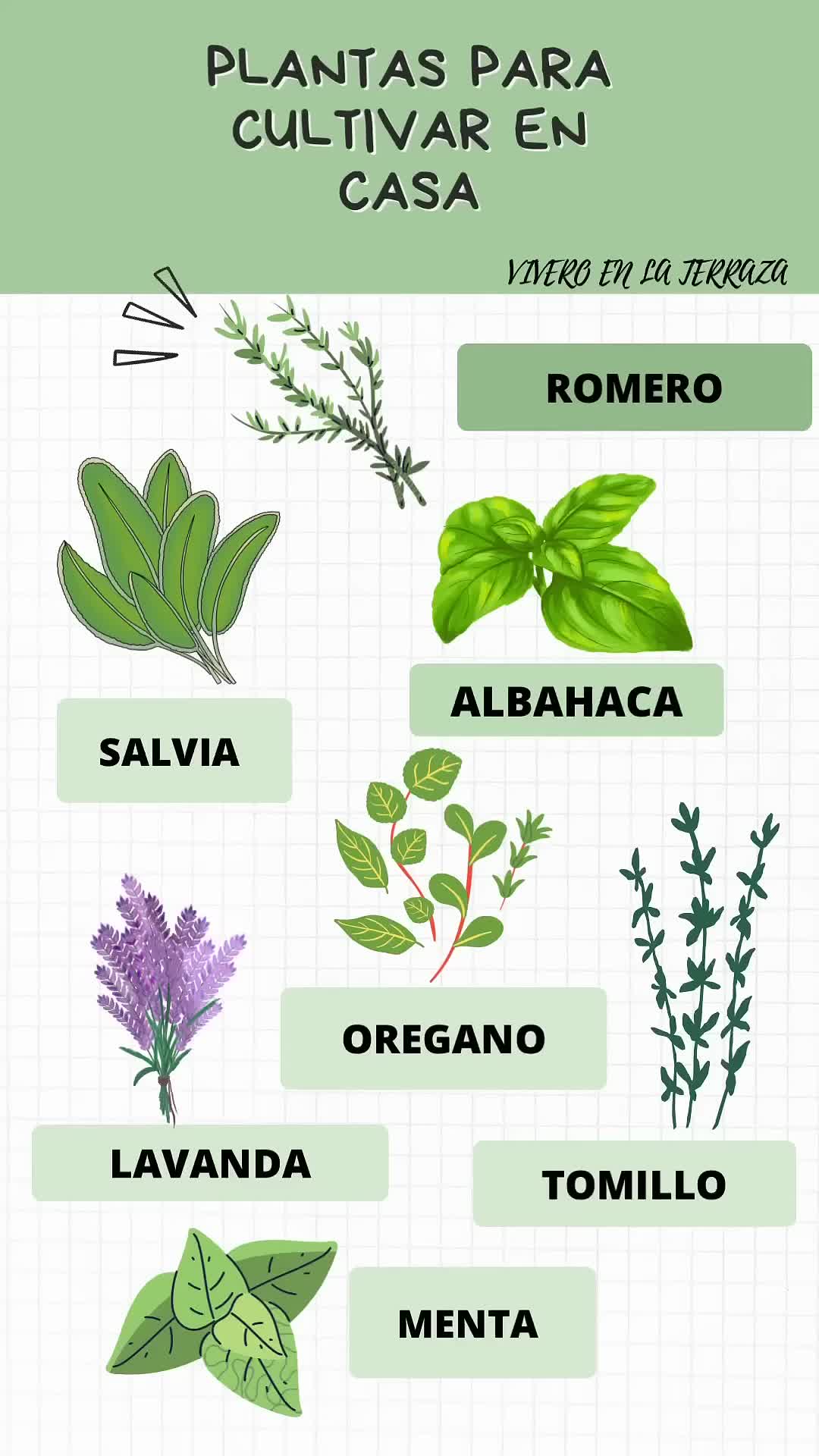 @thegardener.shop