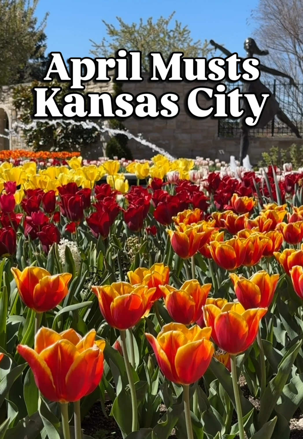 @Jana | Kansas City, Family Fun