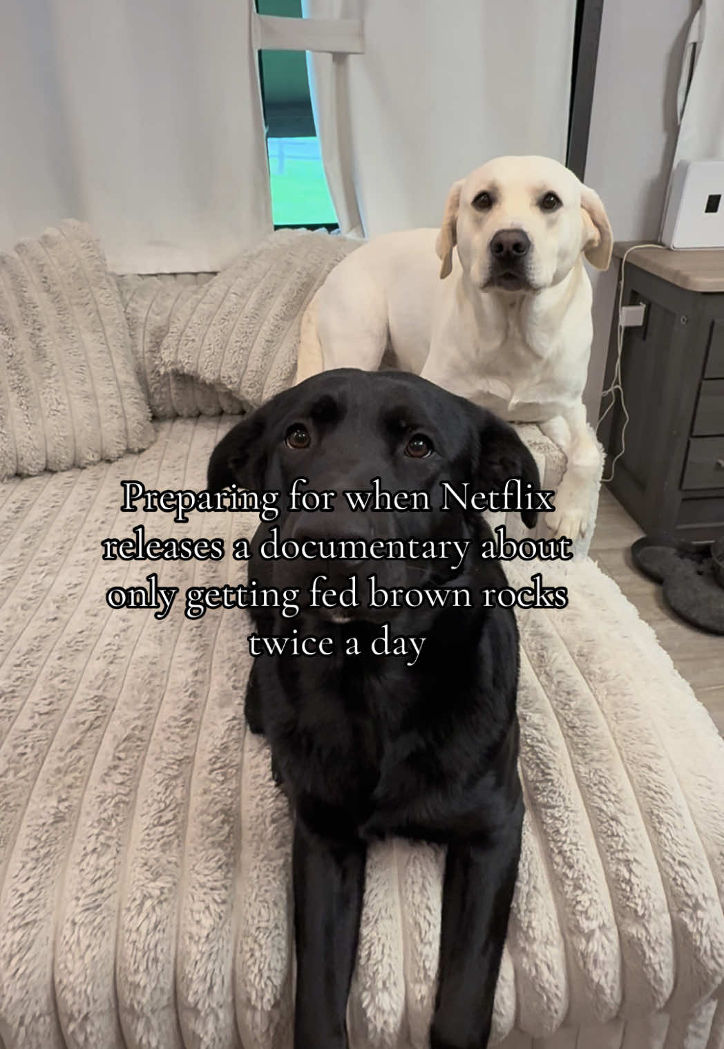 @its.nicoleflinn