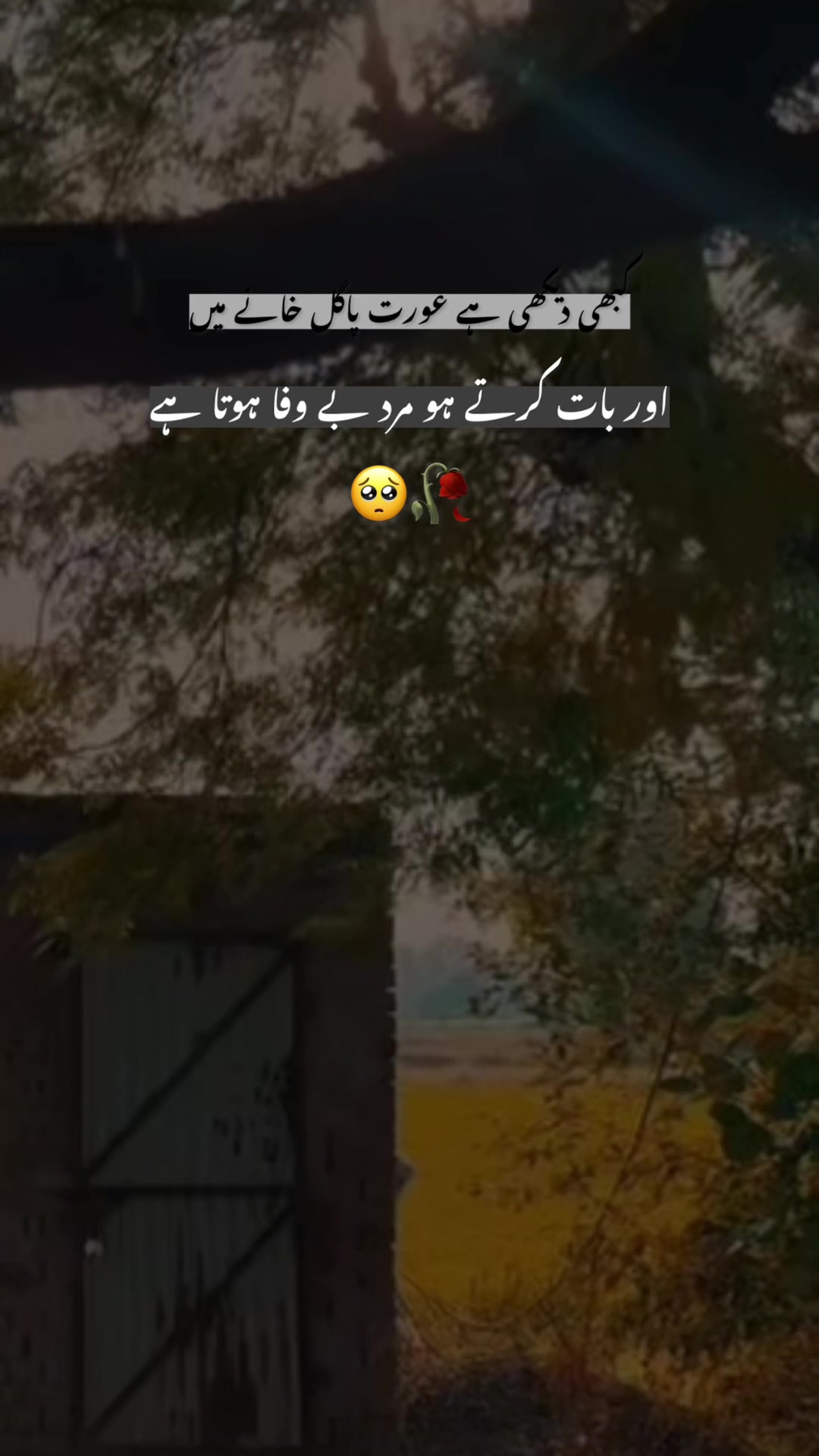 @亗Aʟᴏɴᴇ亗Mᴀʟɪᴋ💔