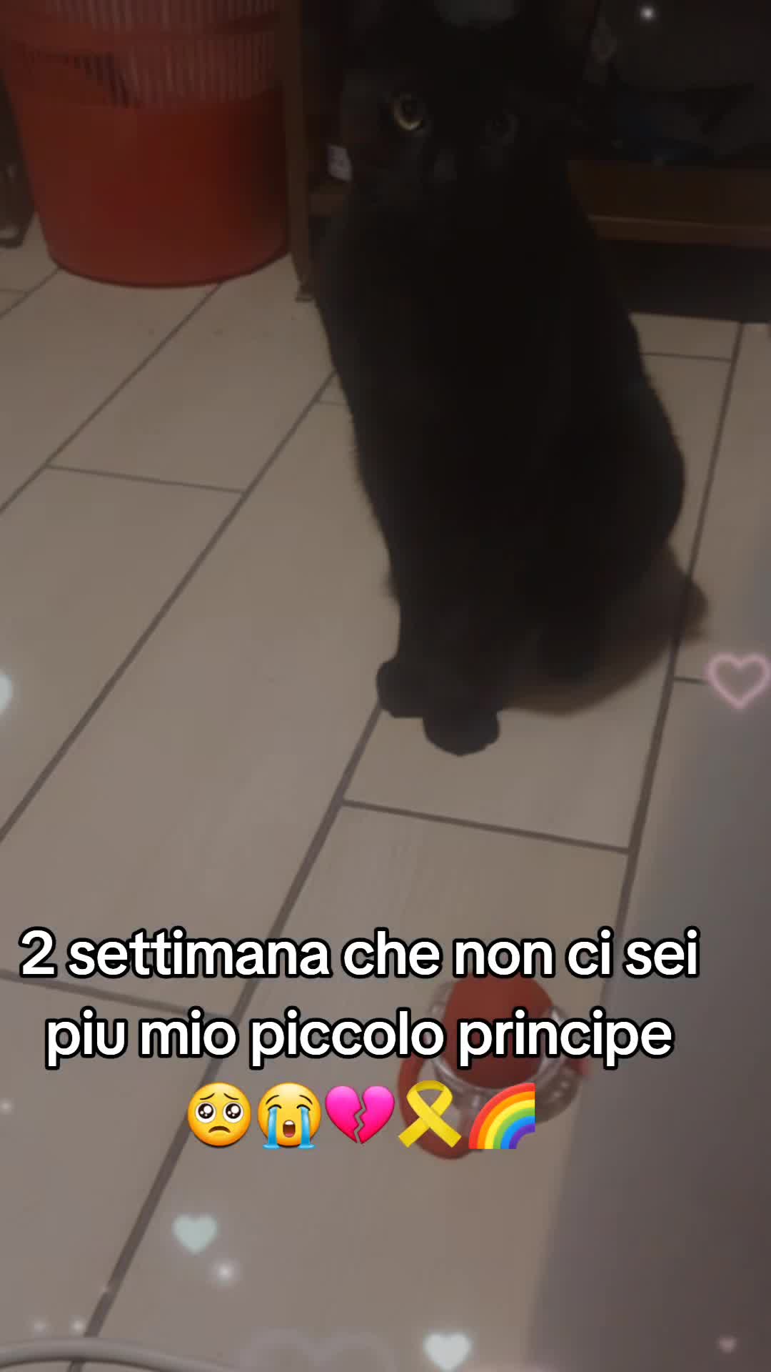 @rosyNapoli1926