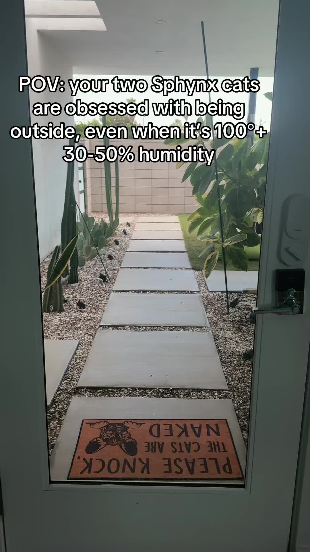 @michaeloncourt
