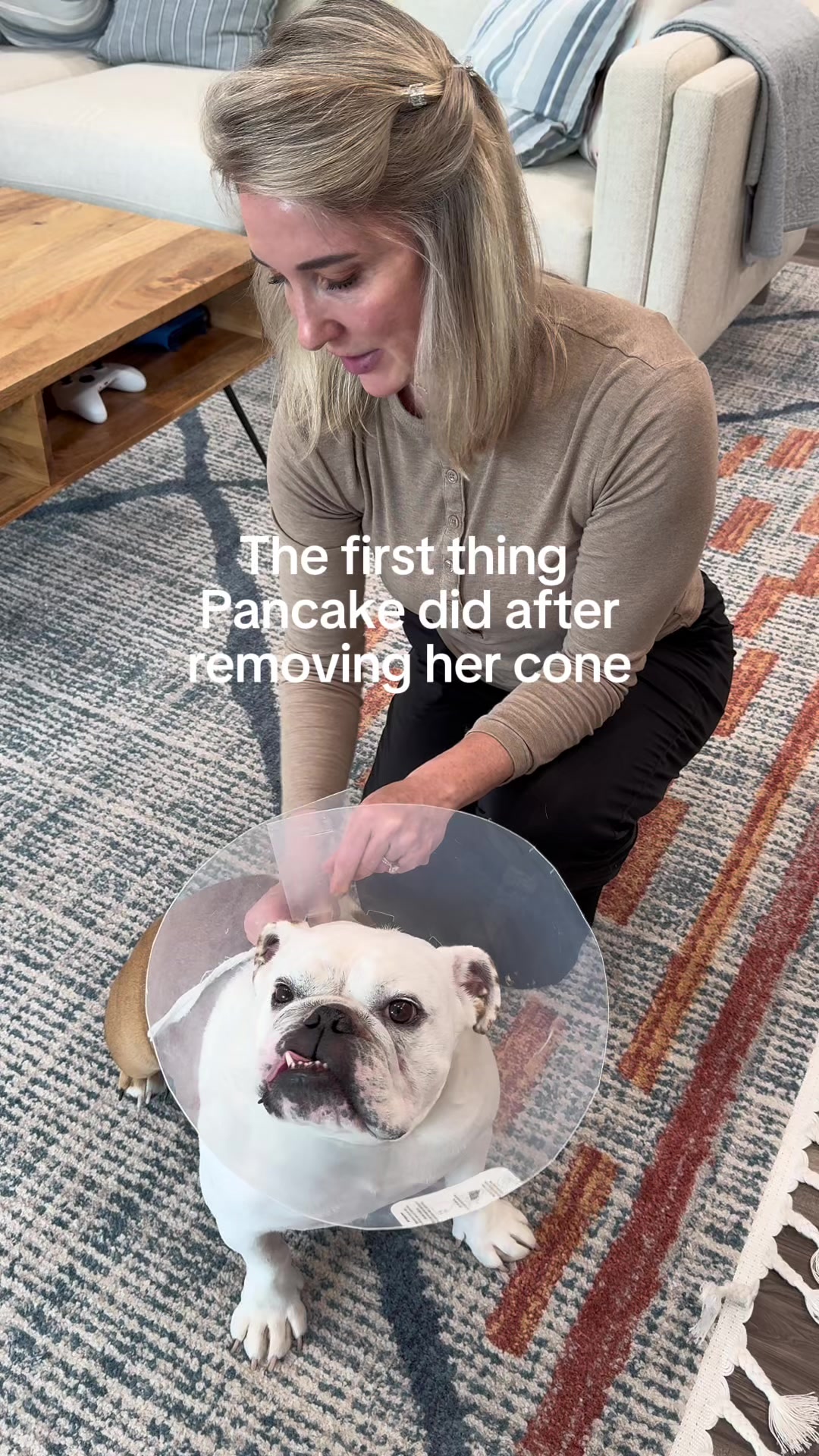 @Pancake 🥞
