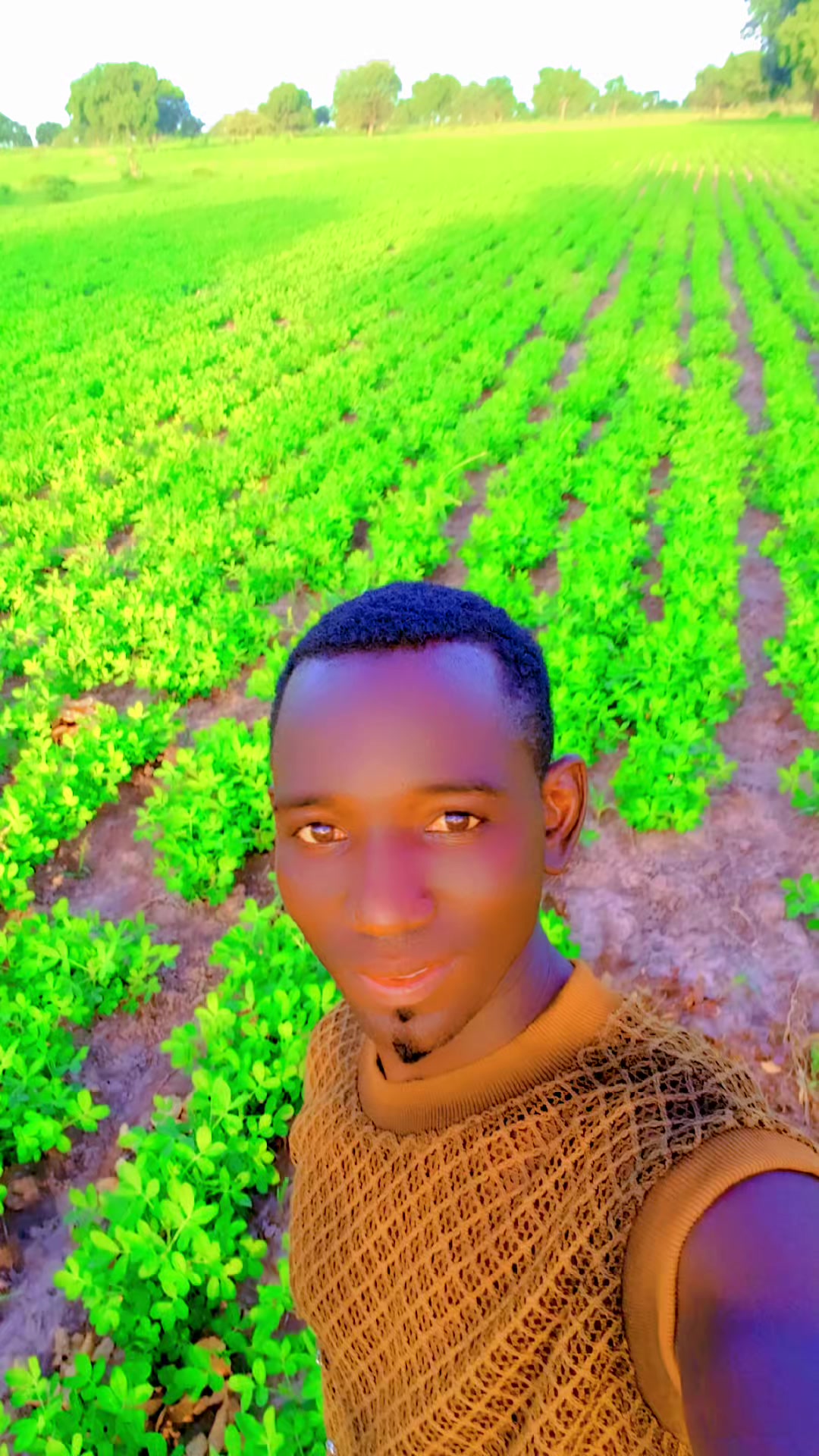 @AMATH NDAO