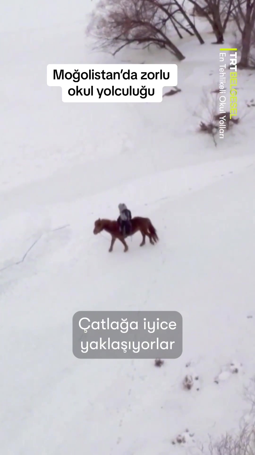 @TRT Belgesel