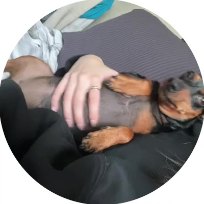 @фуфи!