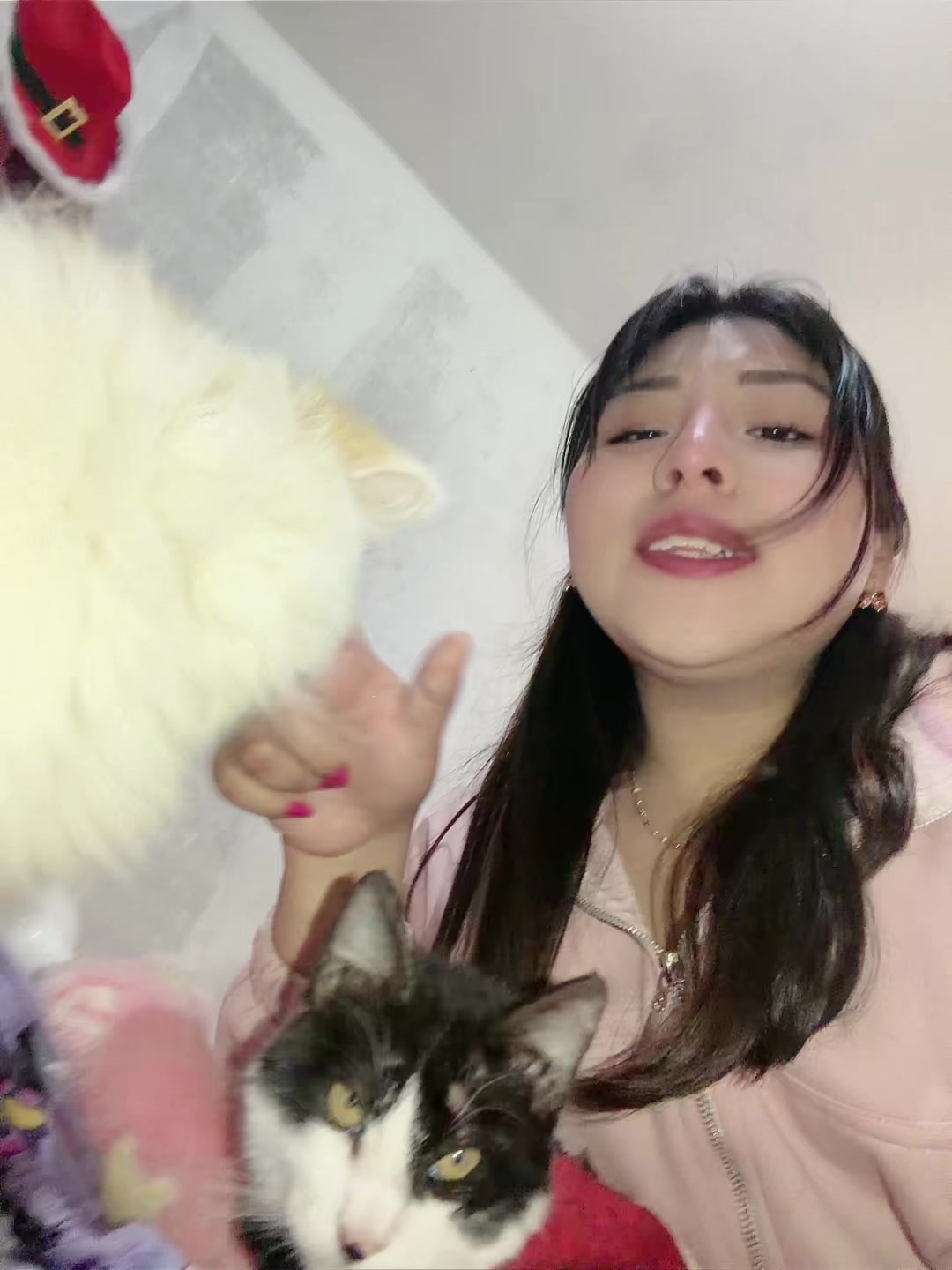 @Vivi
