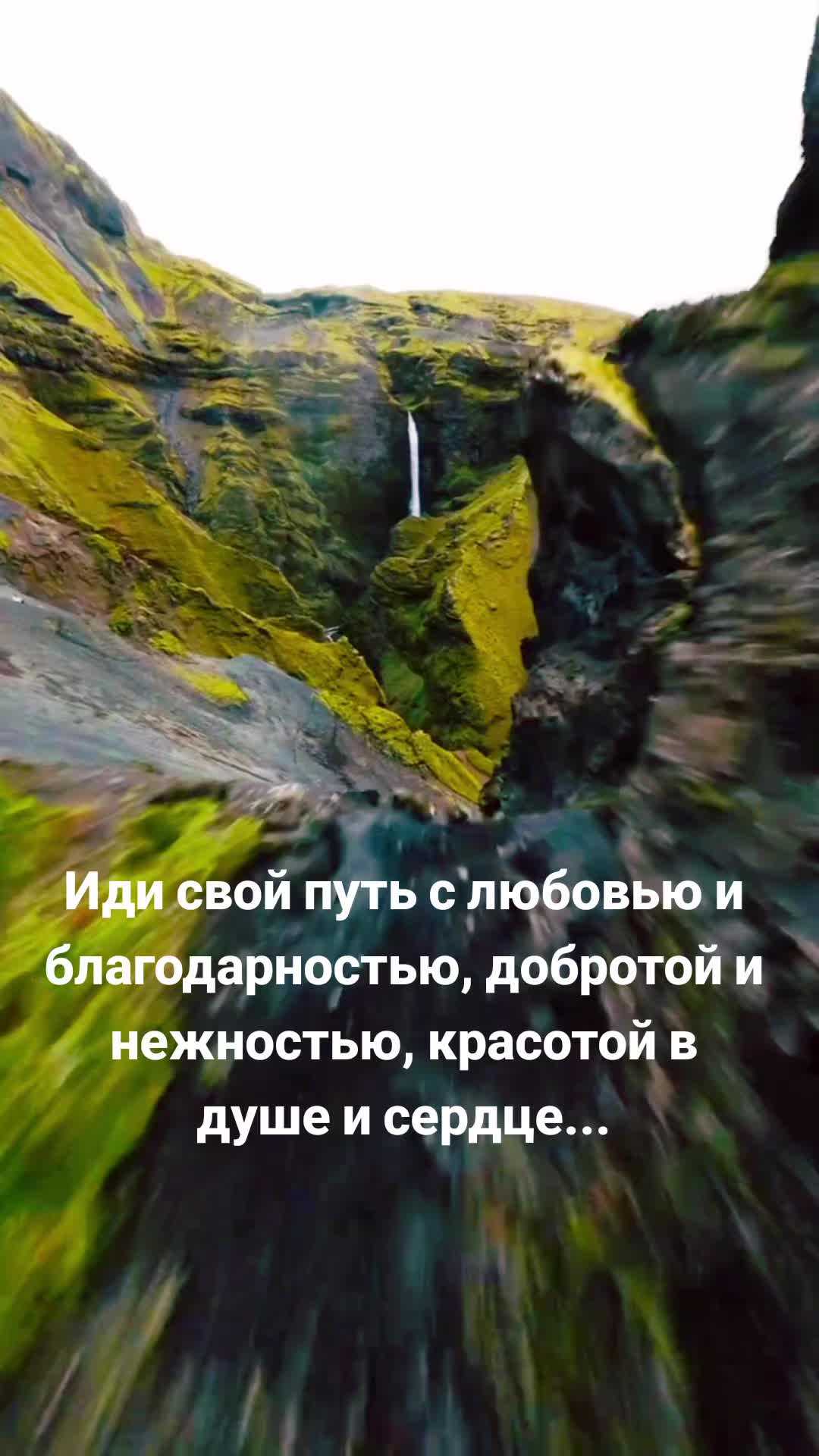 @Мила Телец.