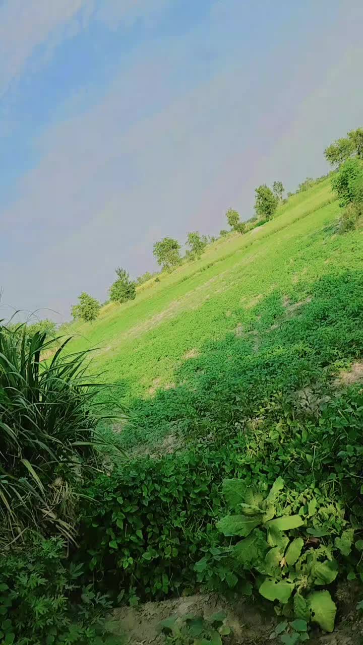 @muskan jutt