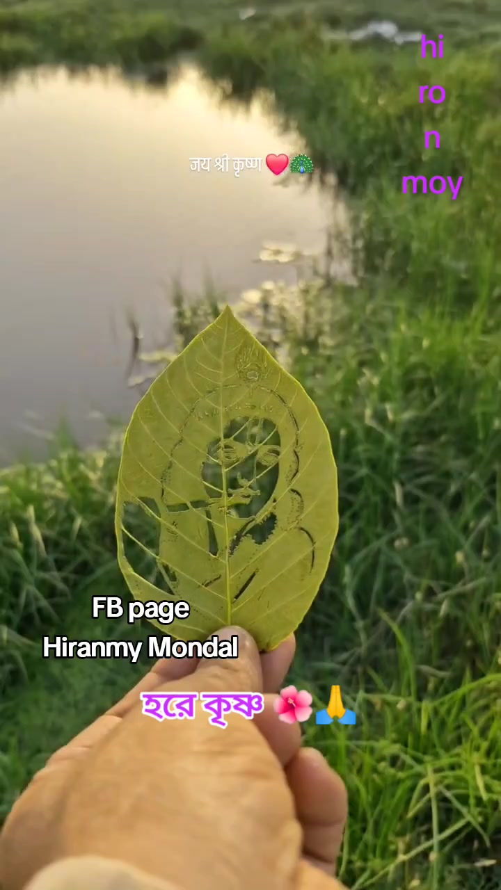 @🦌🦋🦋💛🖤হিরন🖤💛🦋🦋🦌