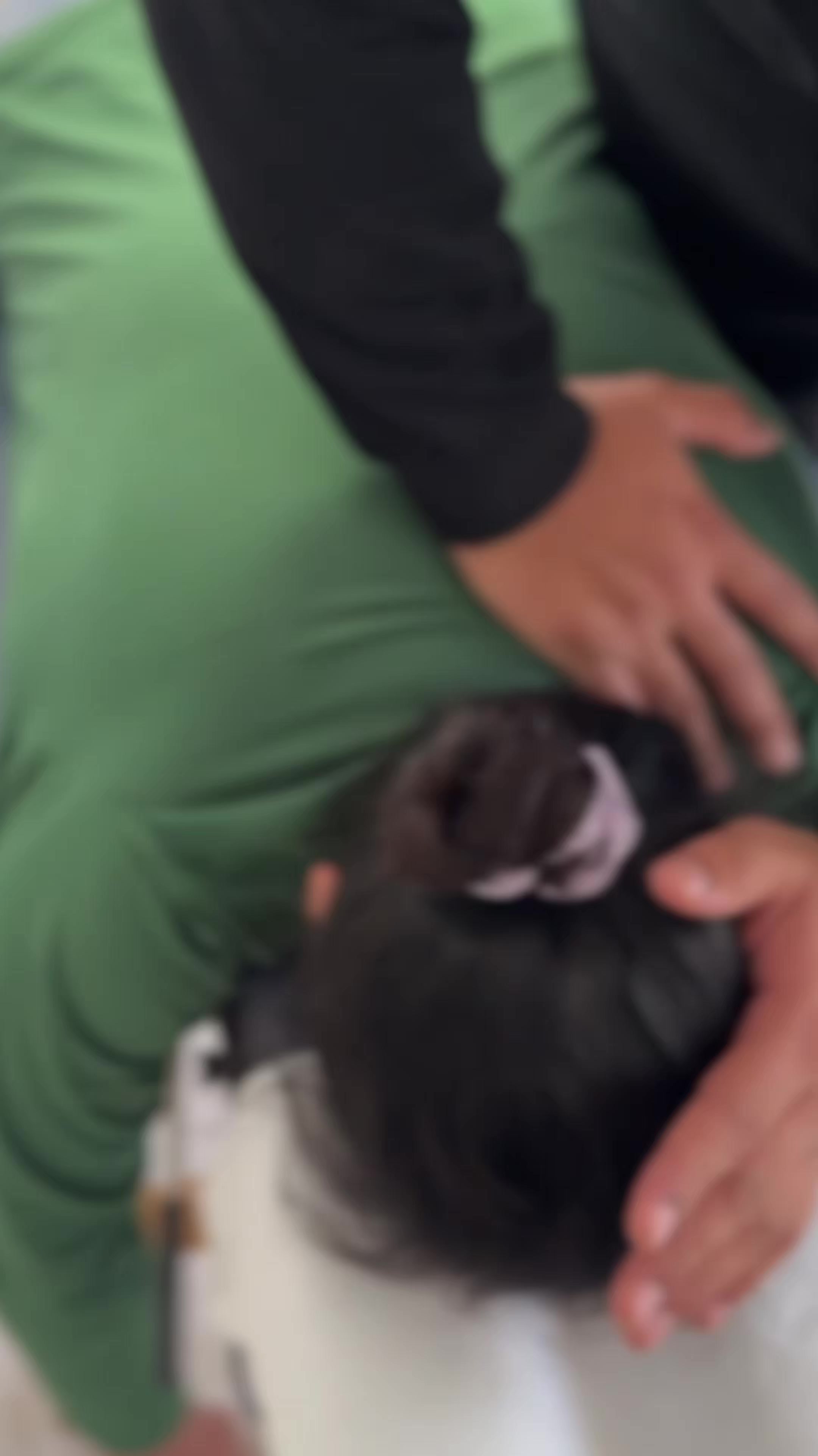 @FisioyquiroLag