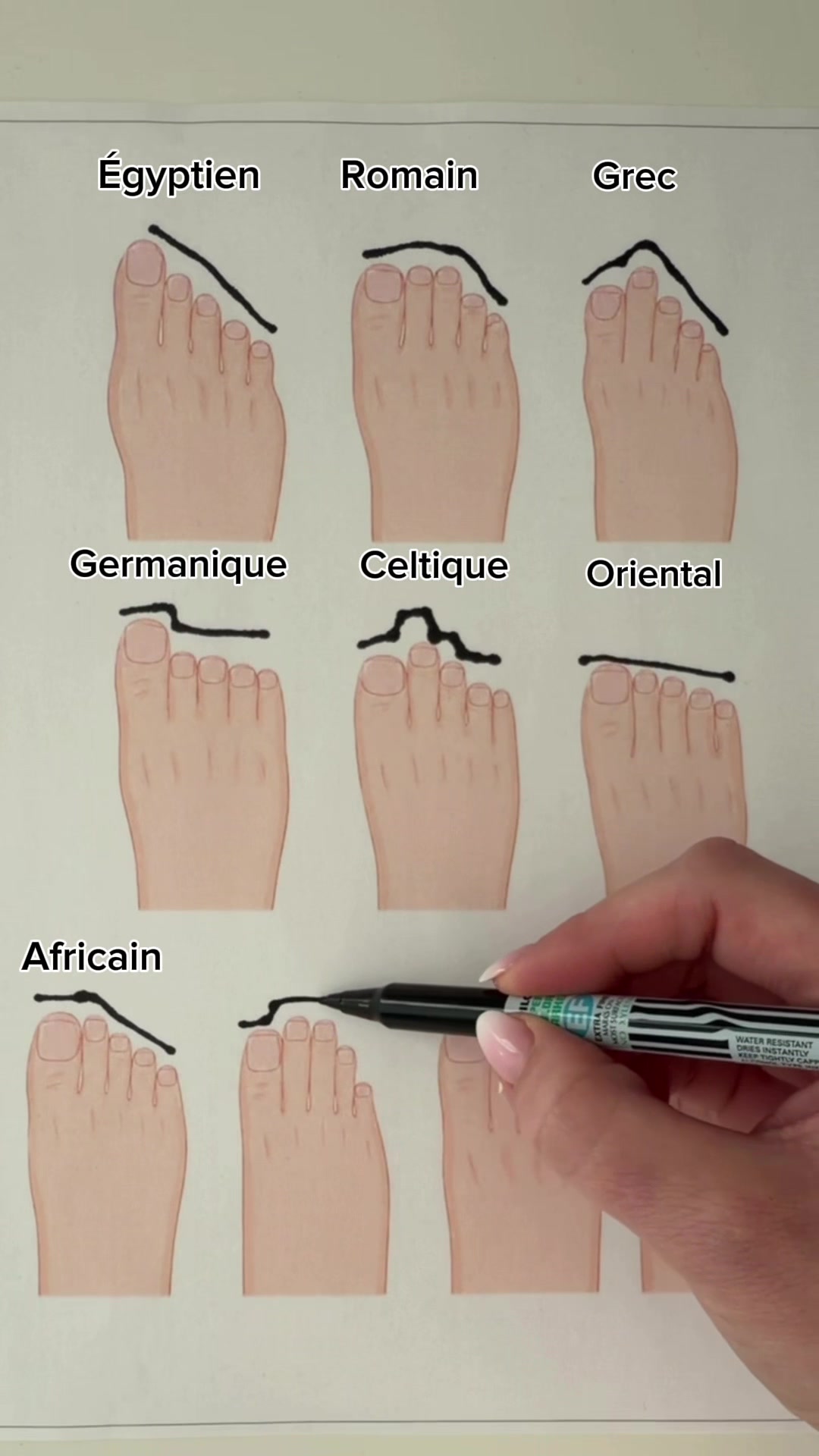 @MyHeritage France