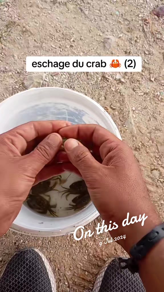 @🇹🇳 D.surfcasting 🇹🇳