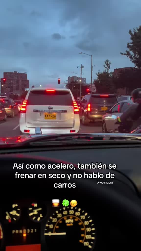 @toyo_pasion_
