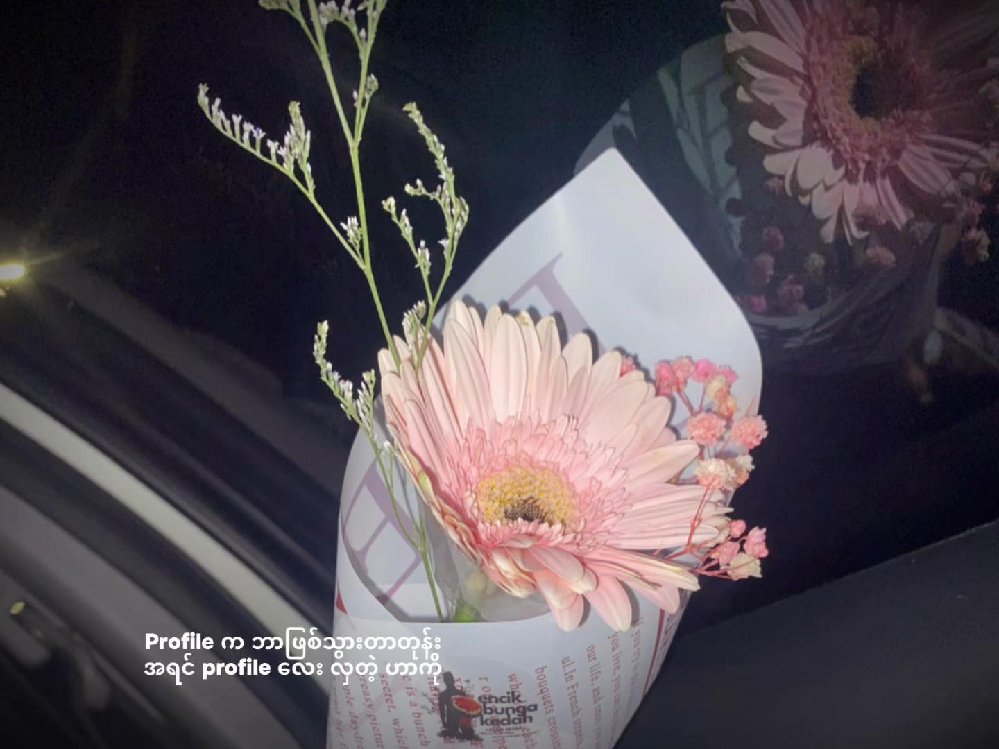 @Diana🦋
