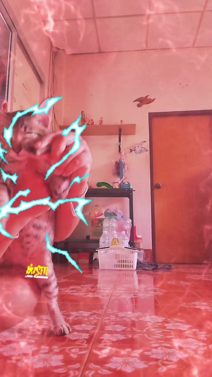 @👿👿😈😈ปีศาจสตางค์👿😈😈😈😈