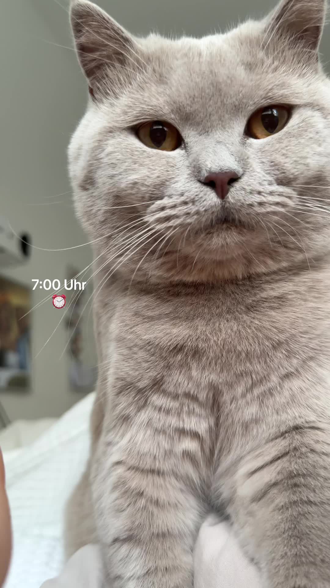 @Seren Güven