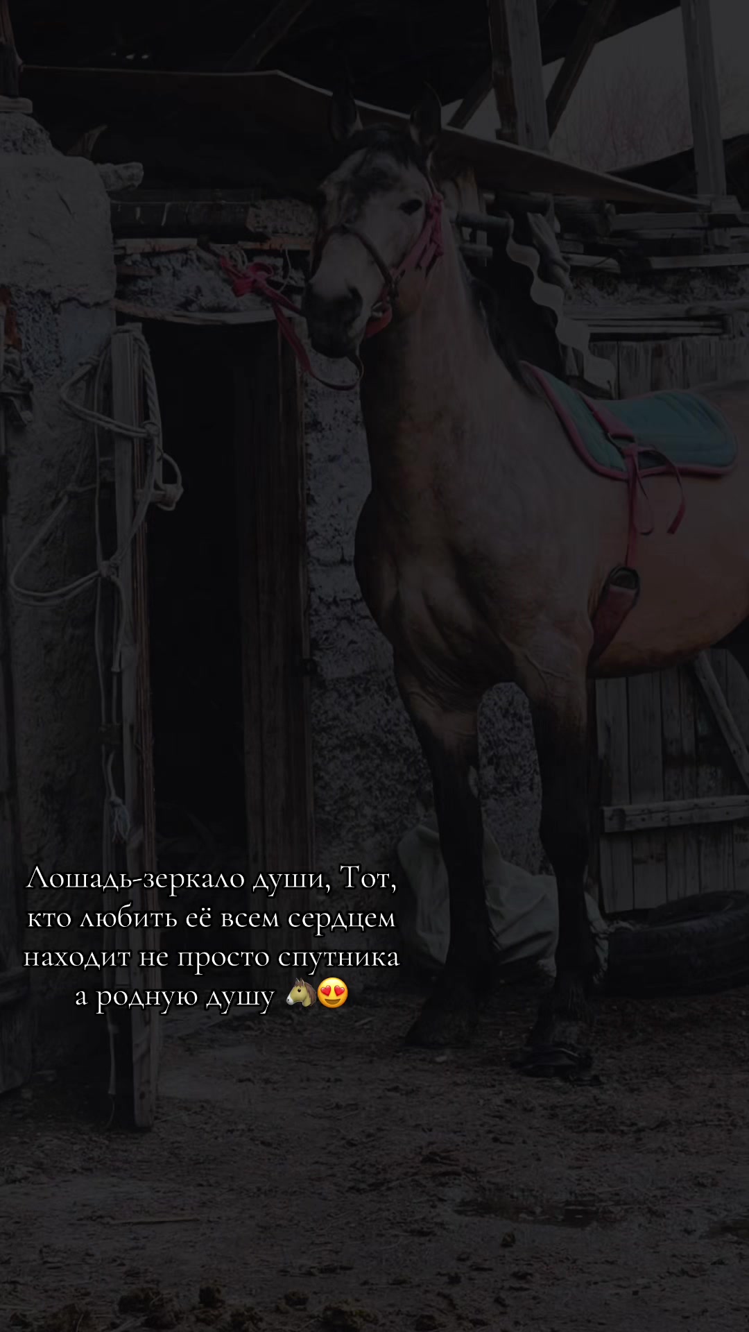 @Ринат Бейбитулы