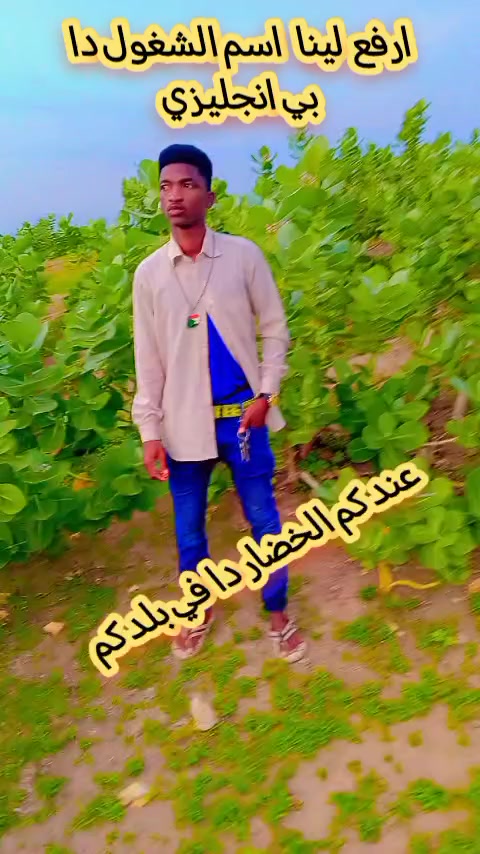@حامدشعيب ودشمار 🇸🇩🇳🇬⚔️