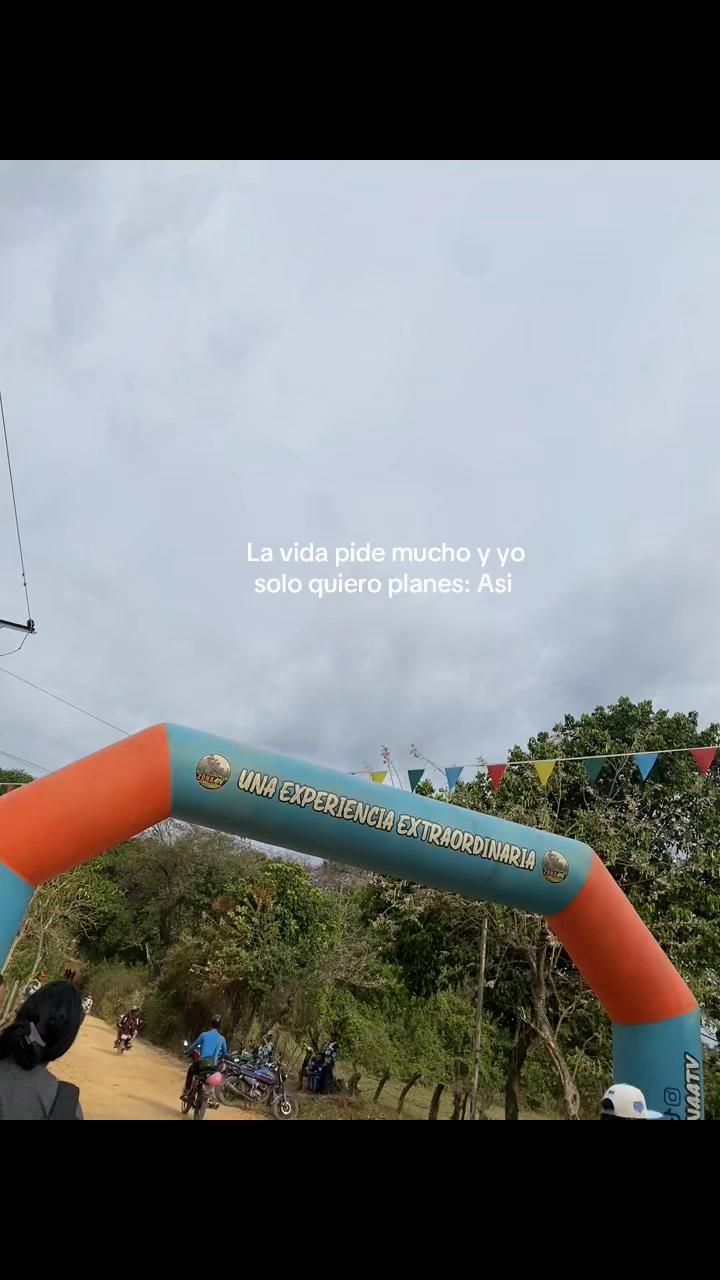 @carolc.ca