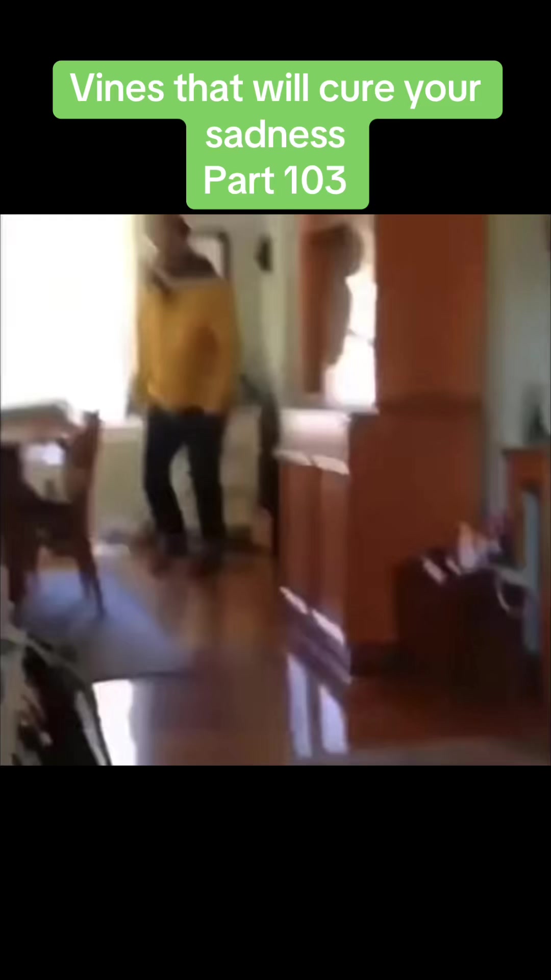 @vinesonlytiktok