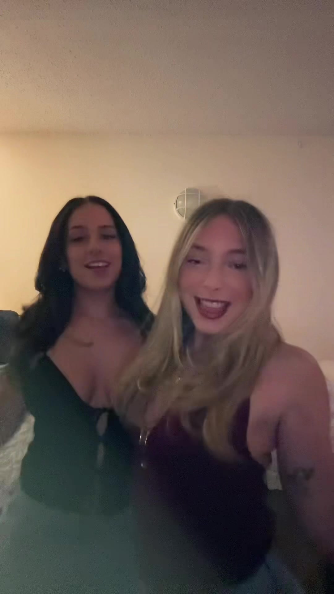 @bellaserp
