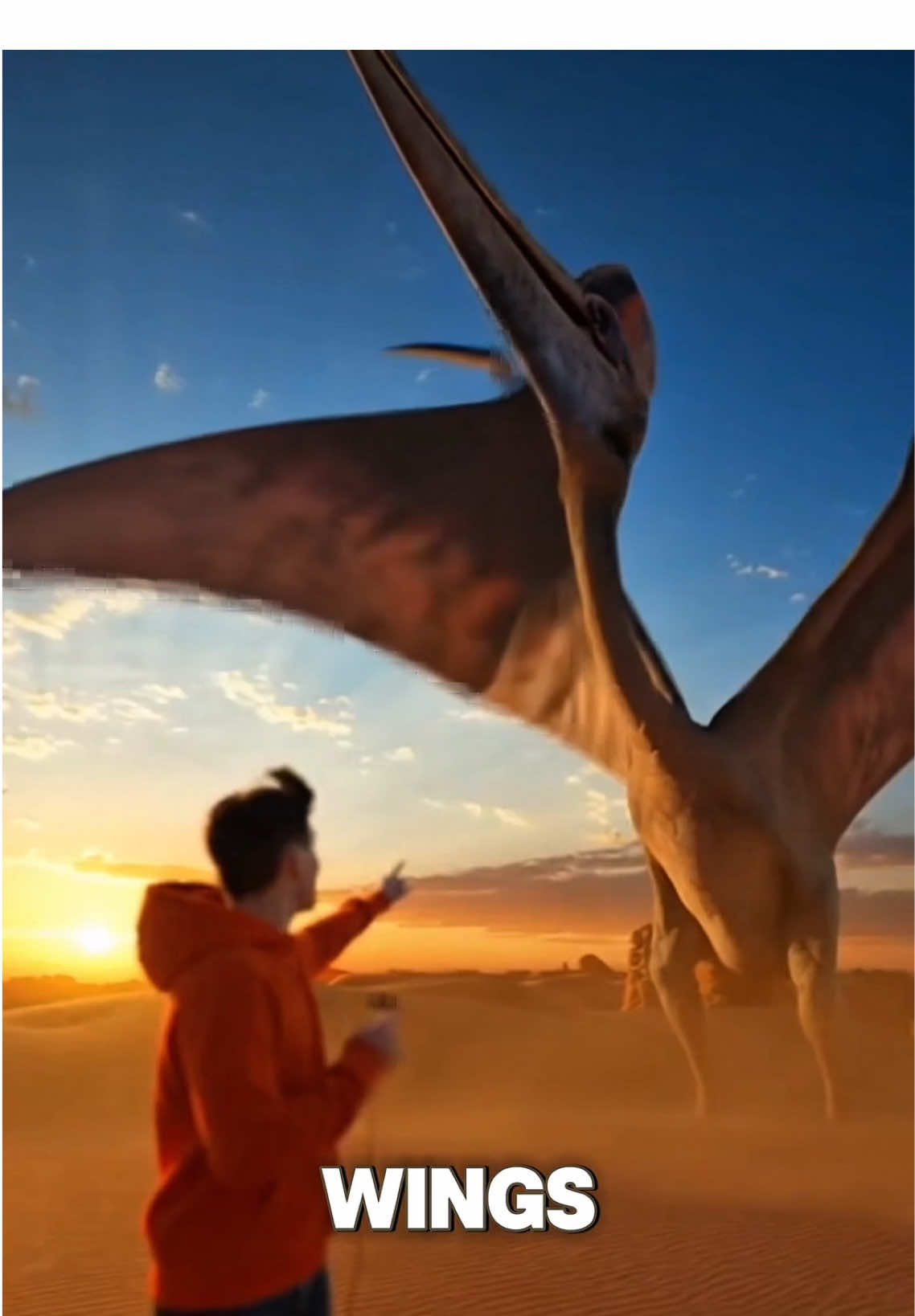 @Orange Hoodie