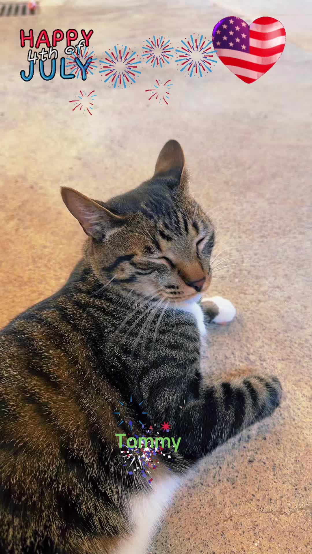 @Amri Gatitos