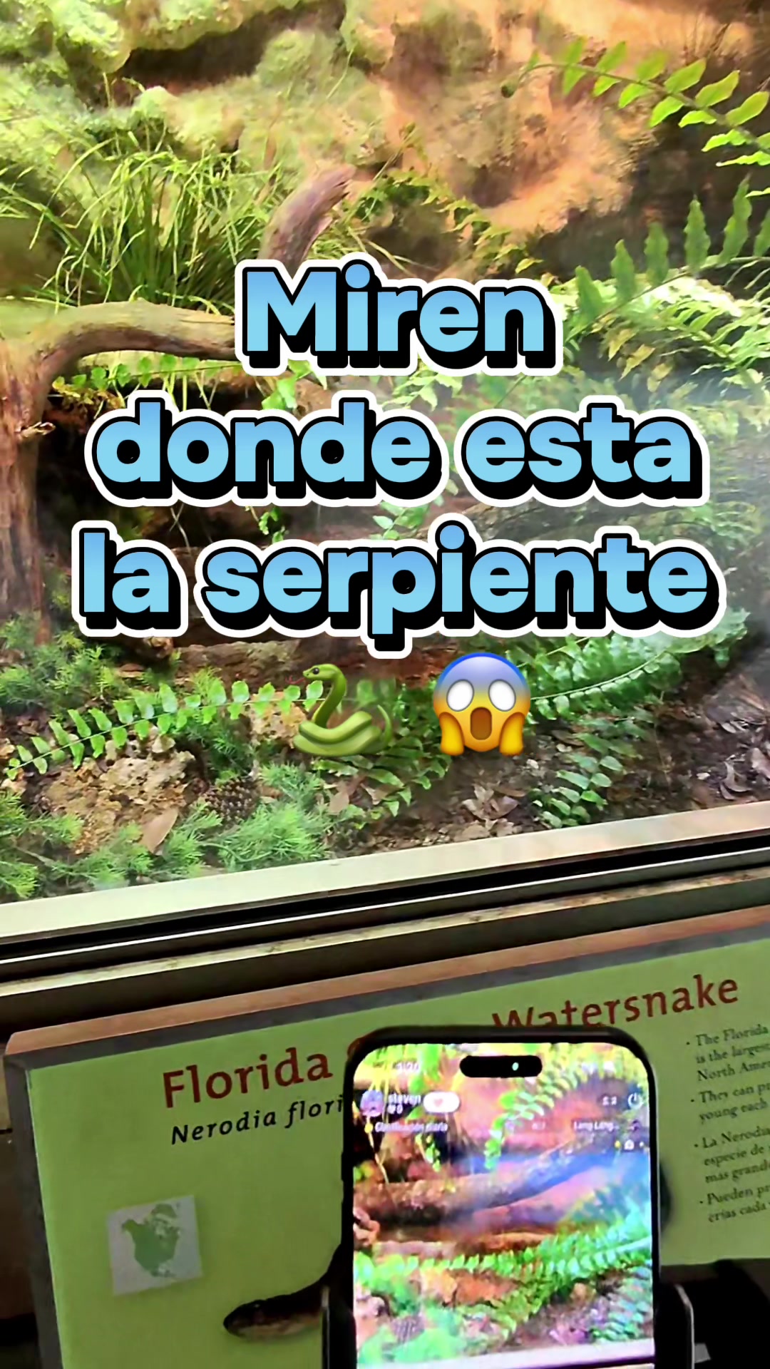 @steven