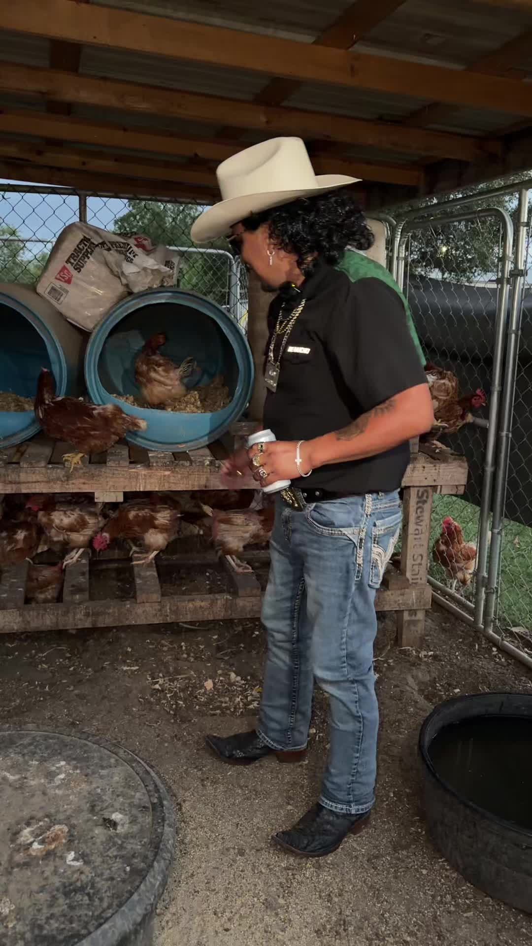 @Tío Chivalo