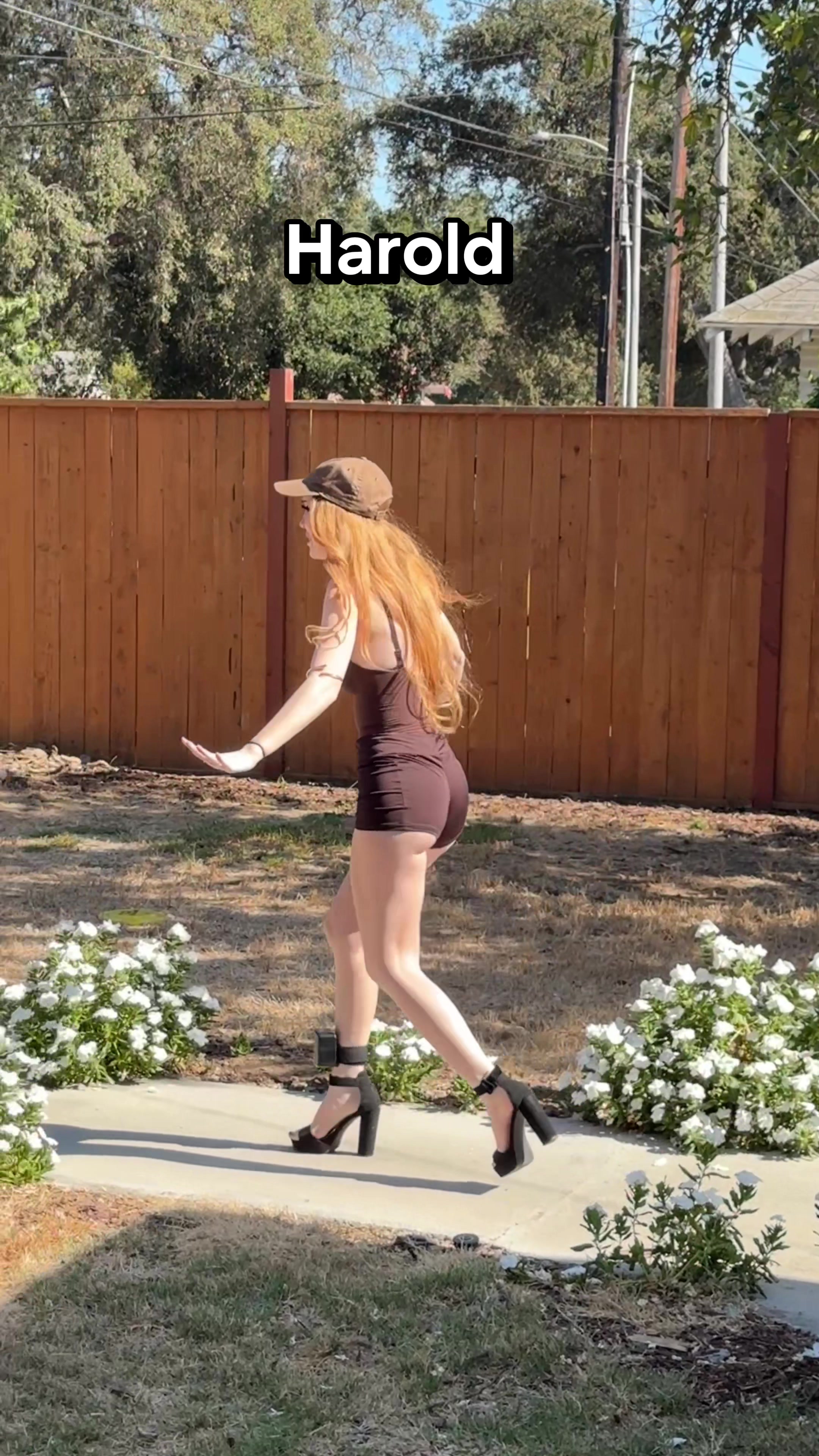 @Stormigee