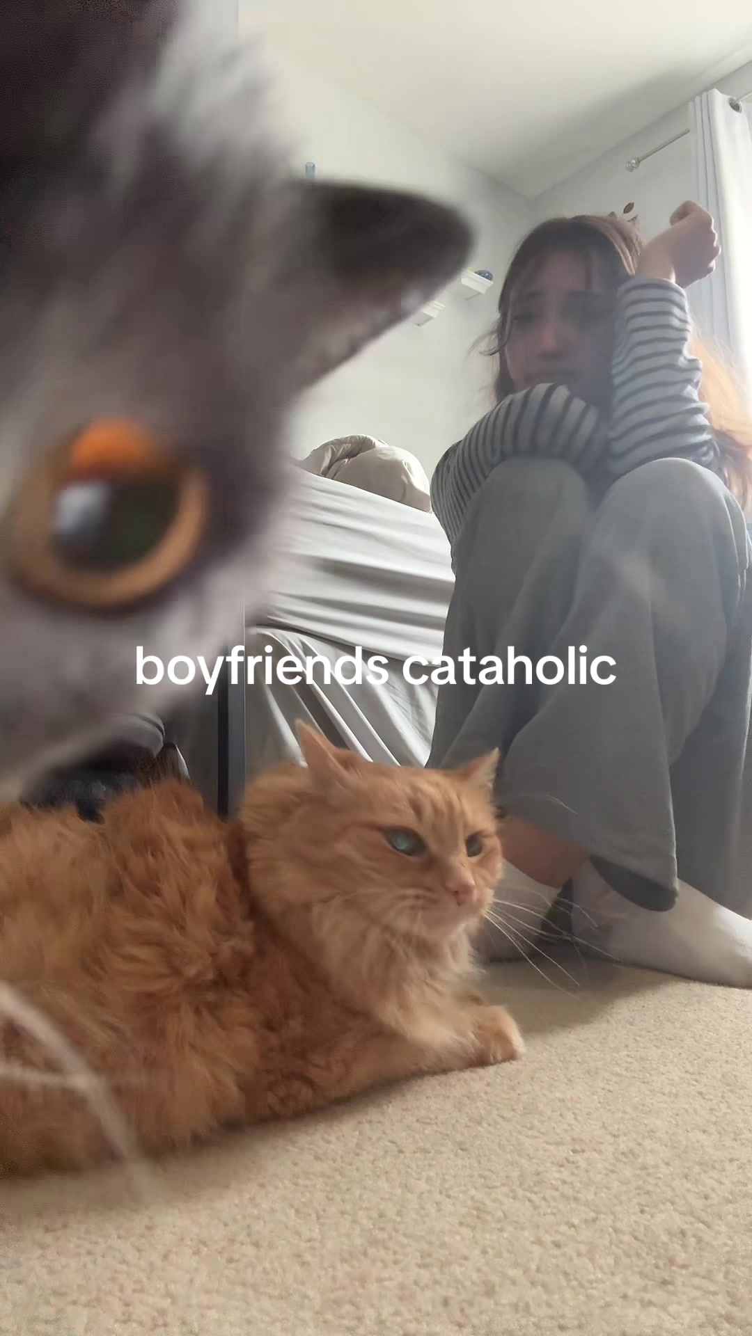 @hi