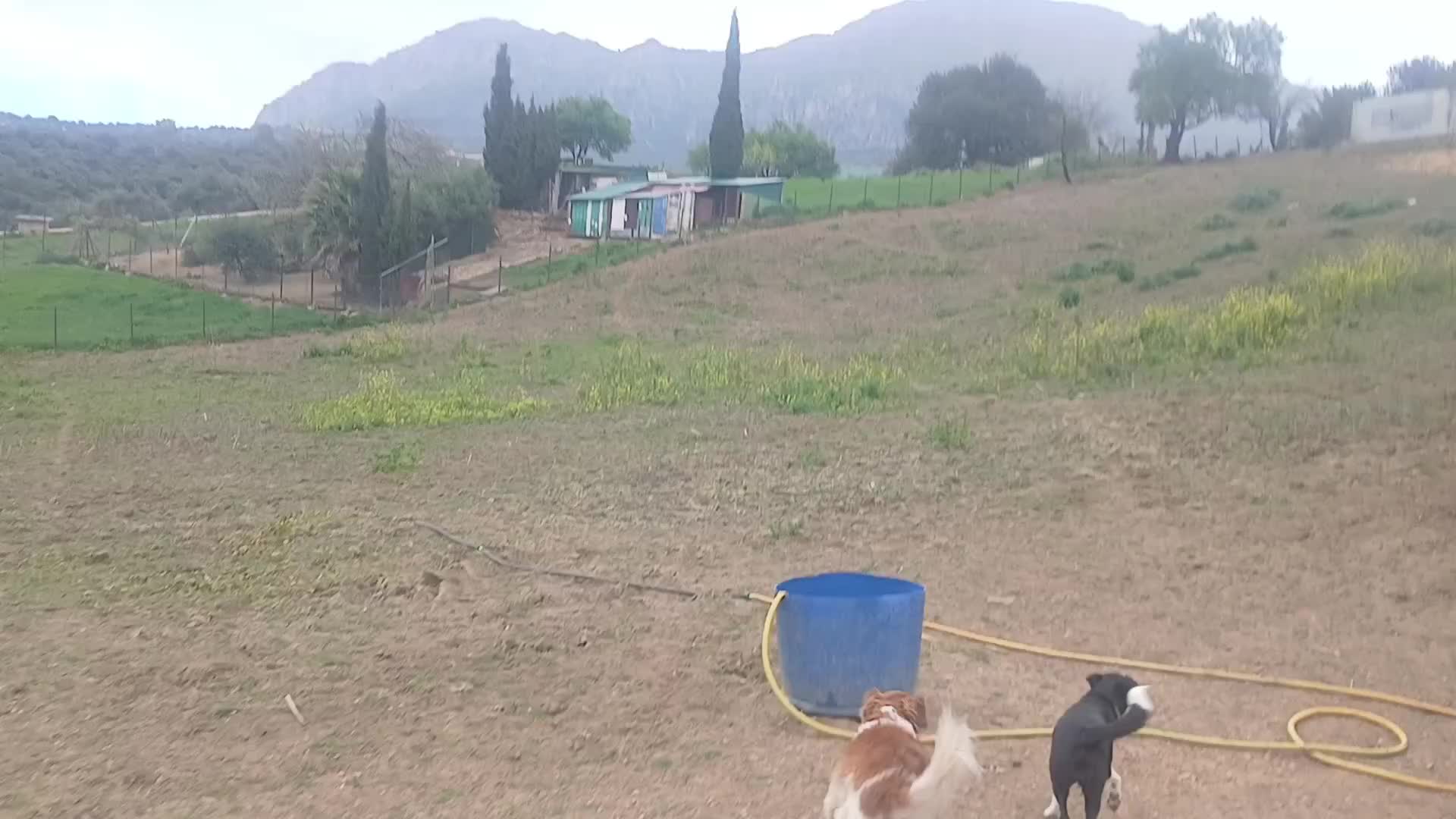 @🇪🇸Tequila-hottah&uuml;🇪🇺