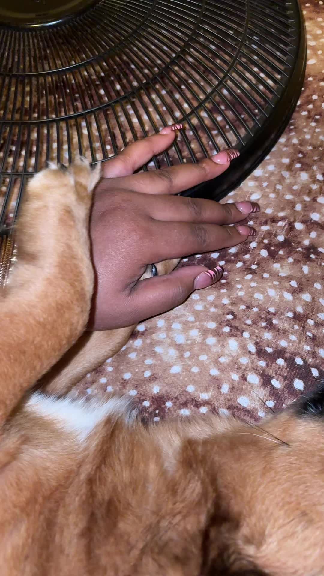 @Honii.Babii 🍯