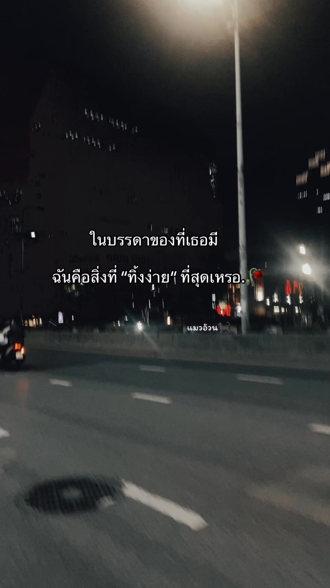 @แมวอ้วน🐈⬛