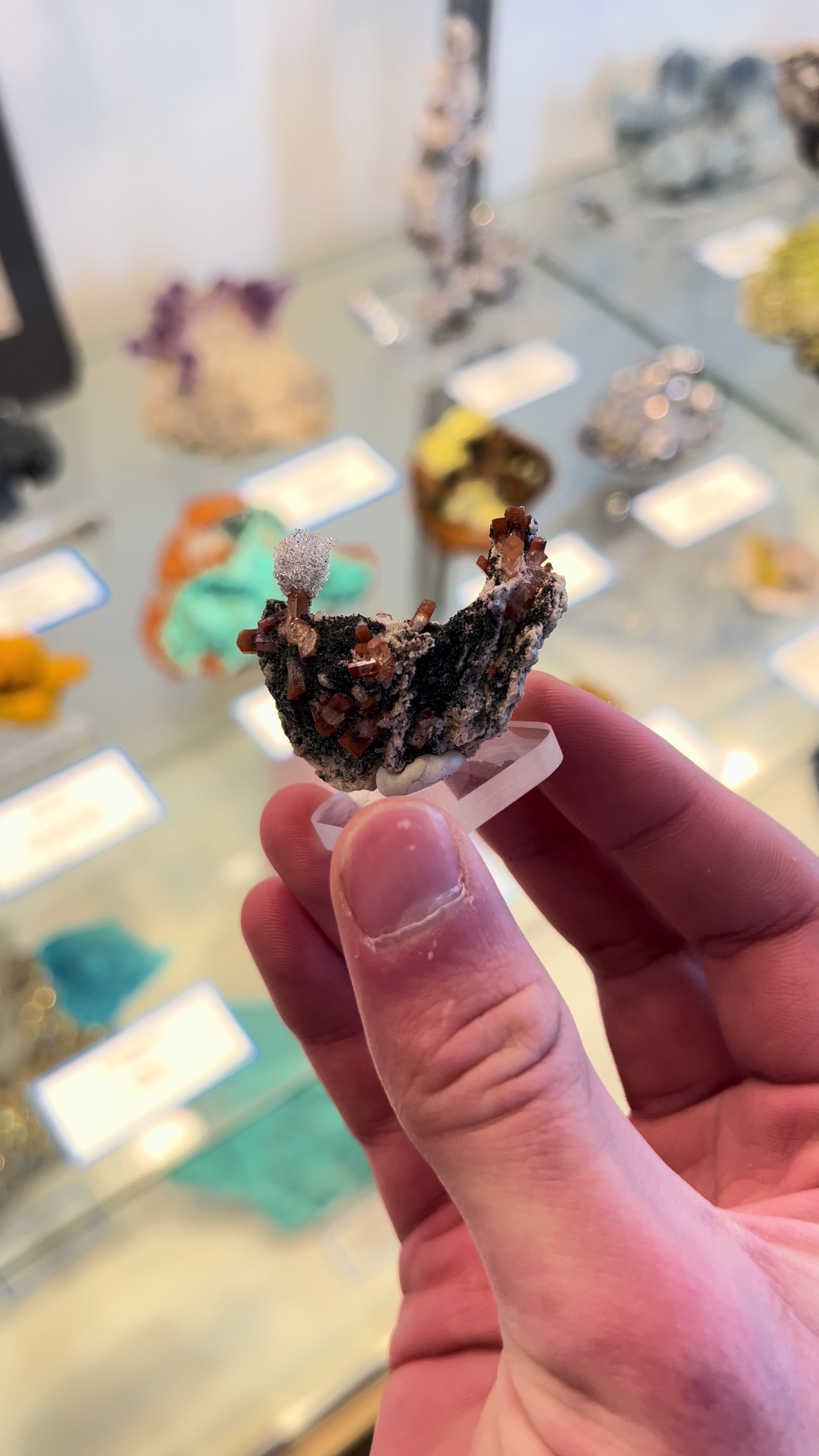 @Capital Crystals | Minerals