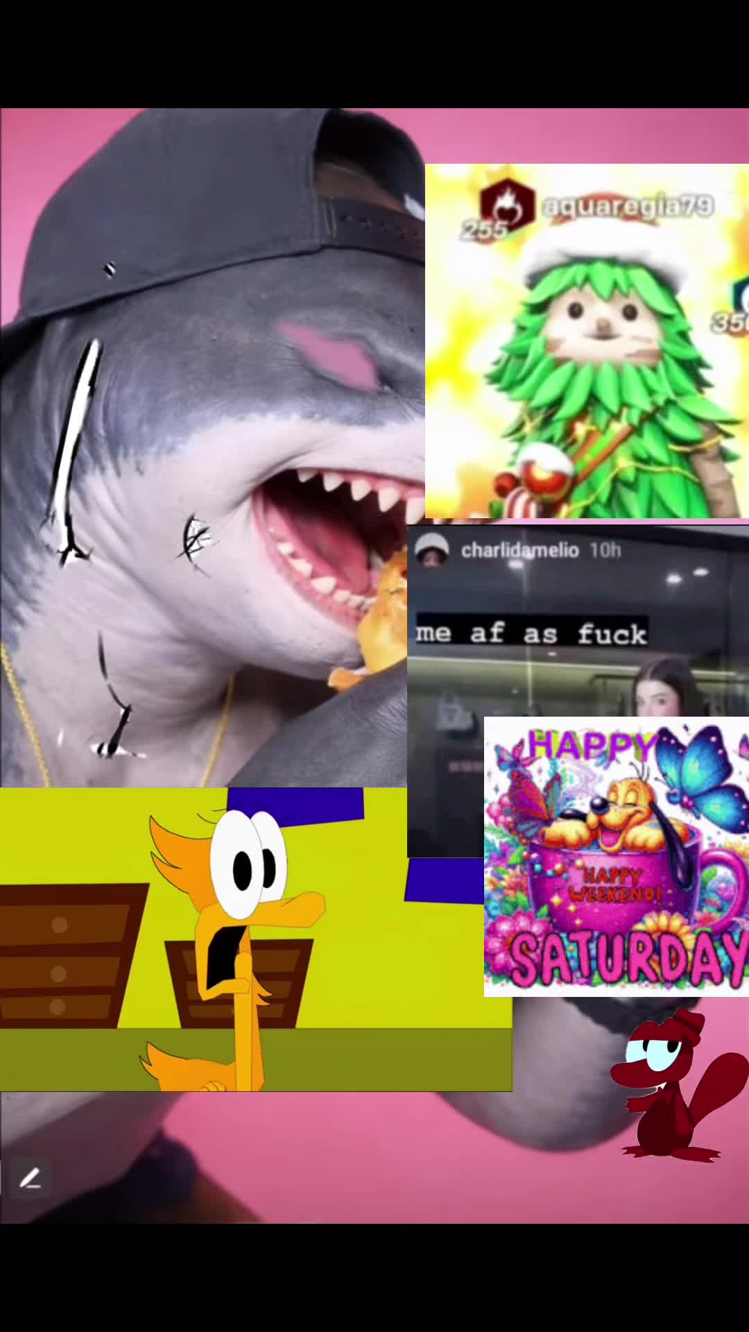 @SilZil