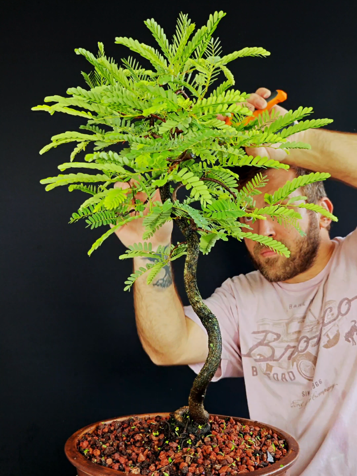 @Bryan Loves Bonsai