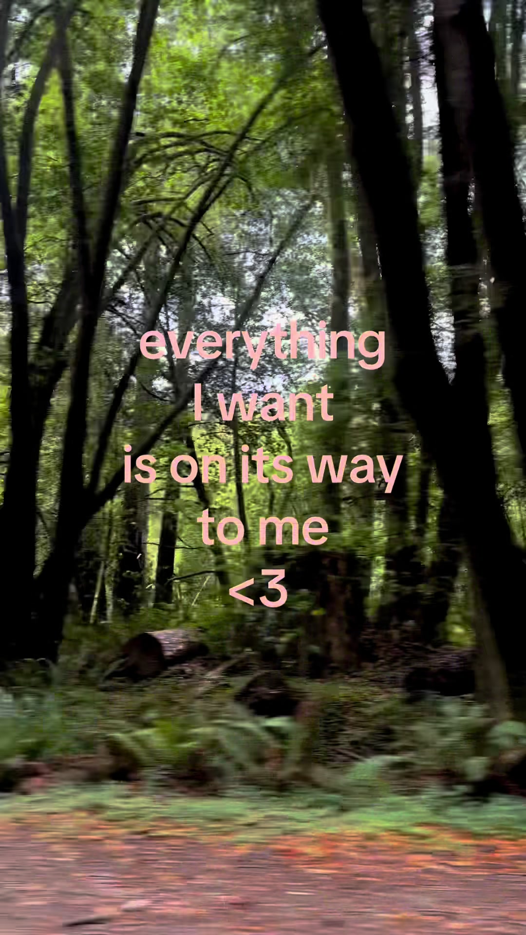 @Sylvette
