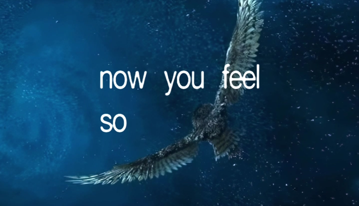 @Deftones Fans