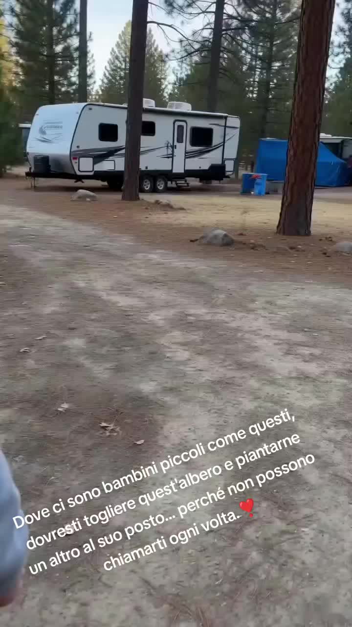 @cuore.animale