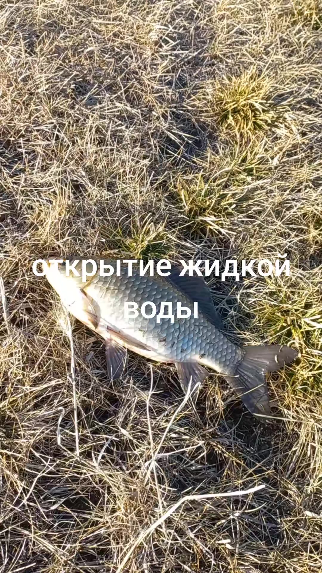 @Дмитрий.Кульков.97 .