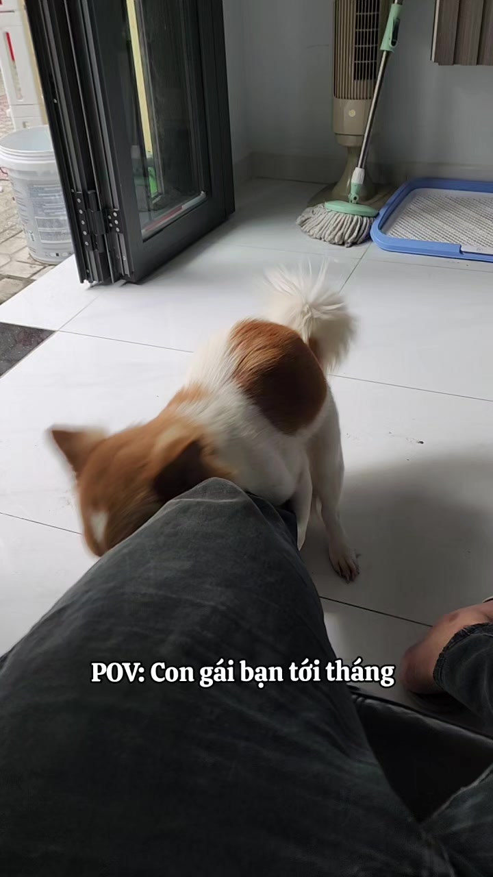 @Nô lệ SDSOFT