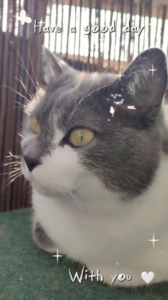 @𝐒𝔸𝓜тᑭᶠ&ouml;тᑕｈⒺή