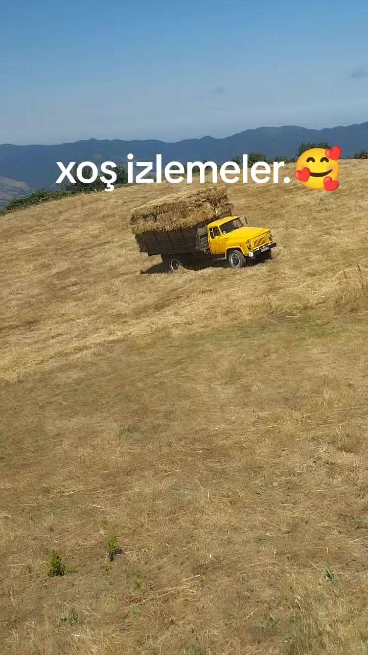 @SEY_MUR_043