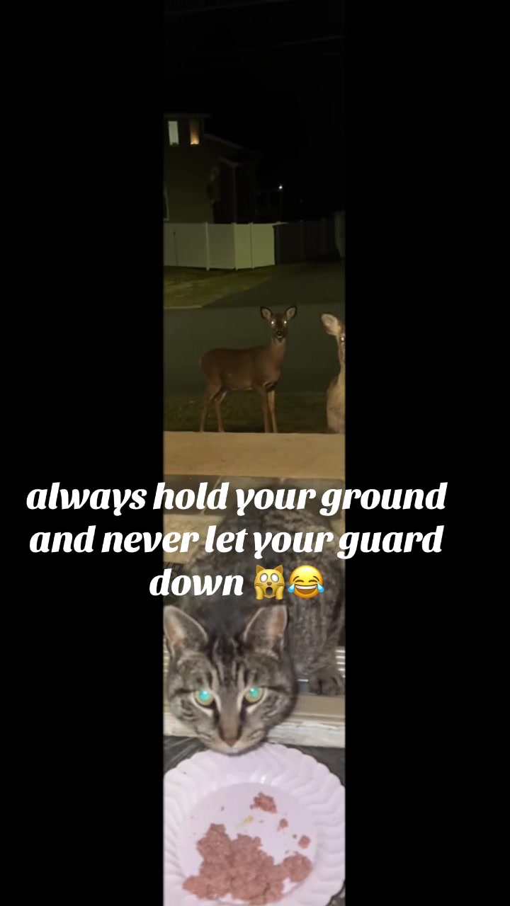 @Tiger,007