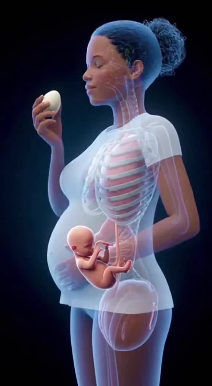 @Pregnancy Tips Daily